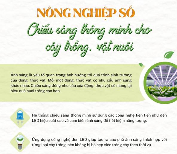 https://phuong4.tayninh.gov.vn/uploads/news/2024_07/1_4.jpg
