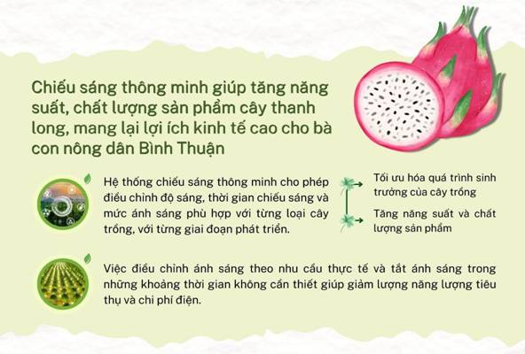https://phuong4.tayninh.gov.vn/uploads/news/2024_07/2_3.jpg