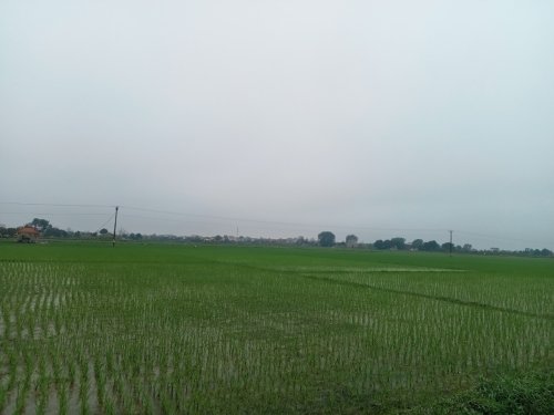 sinh 2.jpg