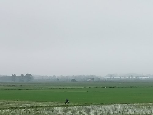 sinh.jpg