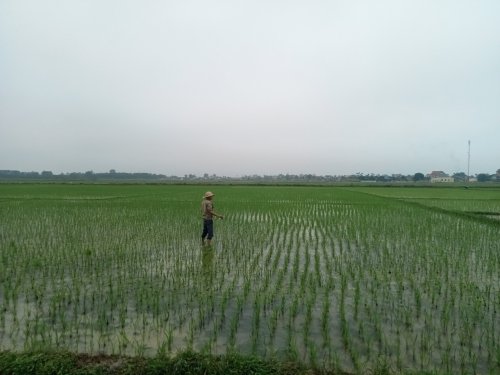 sinh 3.jpg