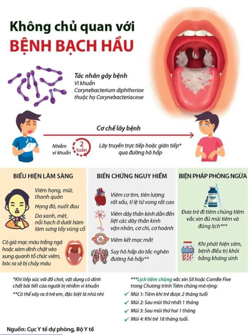 1 bạc hầu.jpg