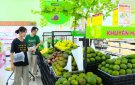 CHÂN DUNG CHÀNG TRAI LÊ ANH TUẤN, LỚP 11A1, TRƯỜNG THPT LÊ LỢI LỌT VÀO VÒNG CHUNG KẾT ÂM VANG XỨ THANH NĂM THỨ 18