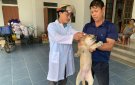 UBND xã Xuân Hoà tổ chức tiêm phòng vacxin cho đàn gia súc, gia cầm và phòng dại đợt 1 năm 2025.
