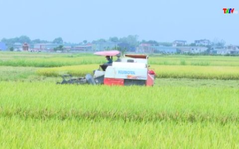 HUYỆN THỌ XUÂN TẬP TRUNG THỰC HIỆN ĐỒNG BỘ CÁC GIẢI PHÁP THÚC ĐẨY PHÁT TRIỂN KINH TẾ-XÃ HỘI TRÊN ĐỊA BÀN