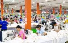 HUYỆN THỌ XUÂN THÚC ĐẨY CÁC DOANH NGHIỆP CHUYỂN ĐỔI SỐ
