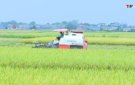 HUYỆN THỌ XUÂN TẬP TRUNG THỰC HIỆN ĐỒNG BỘ CÁC GIẢI PHÁP THÚC ĐẨY PHÁT TRIỂN KINH TẾ-XÃ HỘI TRÊN ĐỊA BÀN