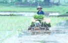 NÔNG DÂN HUYỆN THỌ XUÂN ĐẨY NHANH TIẾN ĐỘ GIEO CẤY LÚA VỤ THU - MÙA 2024