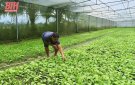 SẢN XUẤT RAU TRÁI VỤ NÂNG CAO THU NHẬP