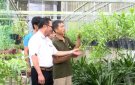 HỘI LÀM VƯỜN VÀ TRANG TRẠI HUYỆN THỌ XUÂN: SẴN SÀNG CÁC ĐIỀU KIỆN THAM GIA CUỘC THI "VƯỜN ĐẸP, TRANG TRẠI KIỂU MẪU" NĂM 2024
