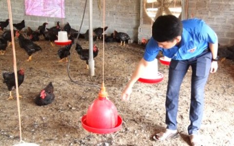 THANH NIÊN THỌ XUÂN SÁNG TẠO, KHỞI NGHIỆP