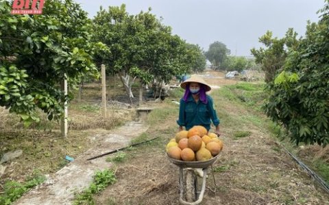 THỌ XUÂN: NHIỀU KẾT QUẢ NỔI BẬT THỰC HIỆN NHIỆM VỤ TRỌNG TÂM, KHÂU ĐỘT PHÁ
