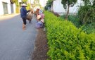 Thôn Trung Thành tập trung hoàn thiện các tiêu chí xây dựng thôn NTM kiểu mẫu năm 2024