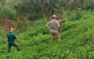 CHI HỘI NÔNG DÂN THÔN KIM ỐC, XÃ XUÂN HÒA DỌN VỆ SINH TUYẾN ĐÊ CHÀO MỪNG LỂ KỶ NIỆM 30/4 VÀ 01/5; KỶ NIỆM 599 NĂM NGÀY MẤT CỦA HOÀNG THÁI HẬU PHẠM THỊ NGỌC TRẦN.