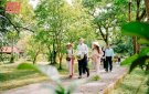 PHÁT HUY GIÁ TRỊ DI SẢN - THÊM SẢN PHẨM “DU LỊCH XANH”