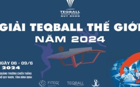 Hỗ trợ thông tin, tuyên truyền Giải TeqBall Thế giới tại tỉnh Bình Định năm 2024.