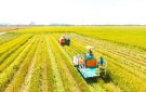 HUYỆN THỌ XUÂN ĐẨY MẠNH PHÁT TRIỂN SẢN XUẤT NÂNG CAO ĐỜI SỐNG NGƯỜI DÂN, GÓP PHẦN XD HUYỆN NTM NÂNG CAO